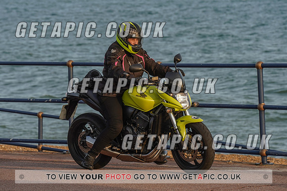 RS2009_11453