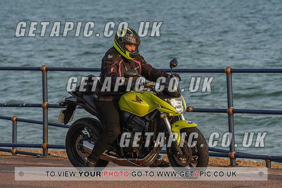 RS2009_11454