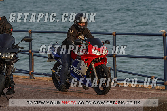 RS2009_11456