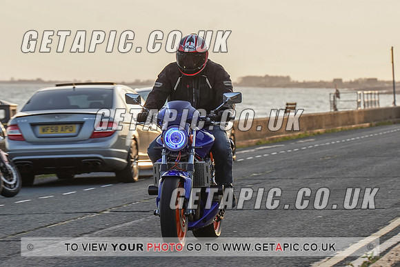 RS2009_11459