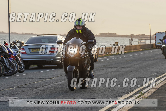 RS2009_11461