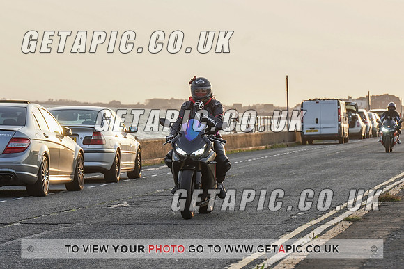 RS2009_11462