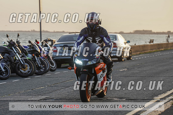RS2009_11464