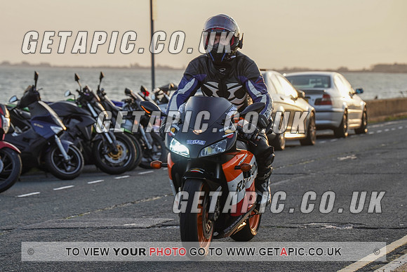 RS2009_11465