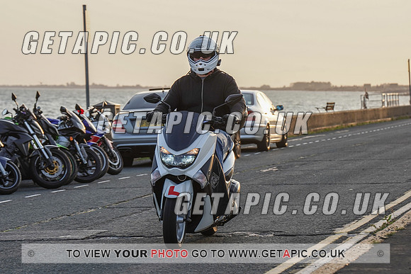 RS2009_11467