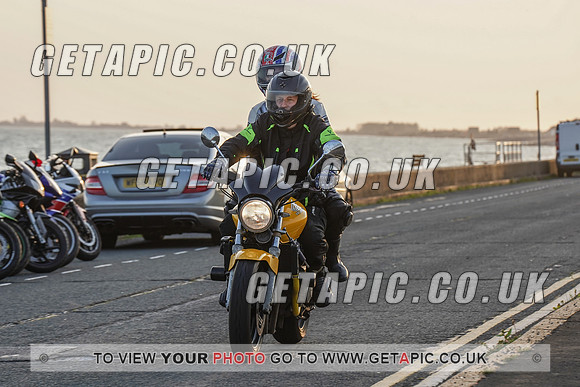 RS2009_11469