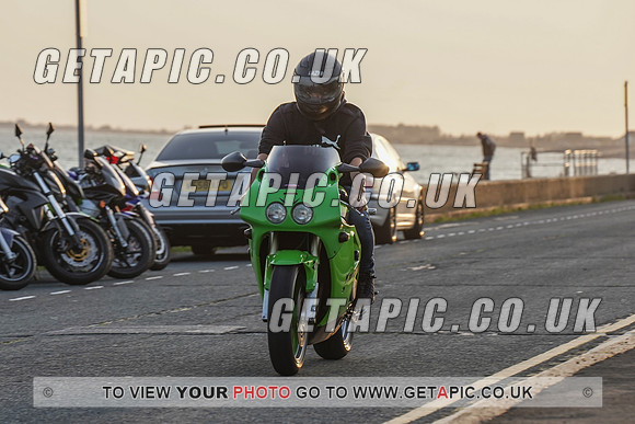 RS2009_11475