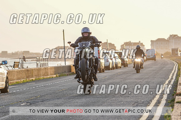 RS2009_11479