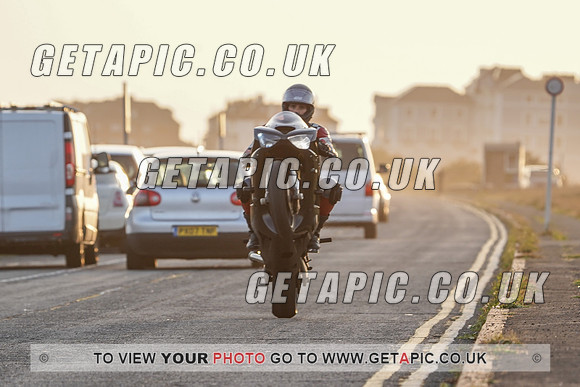 RS2009_11481