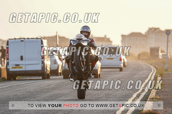 RS2009_11483