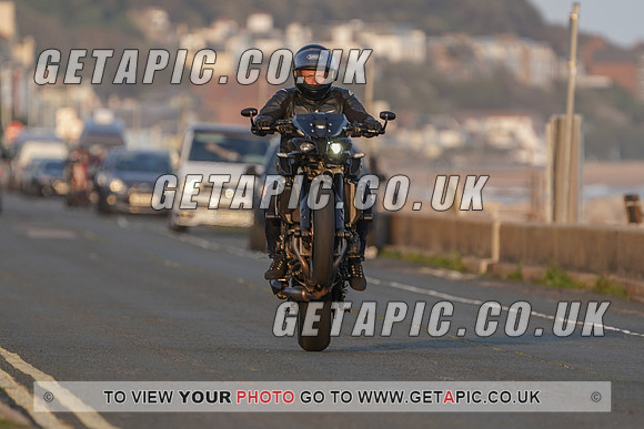 RS2009_11494