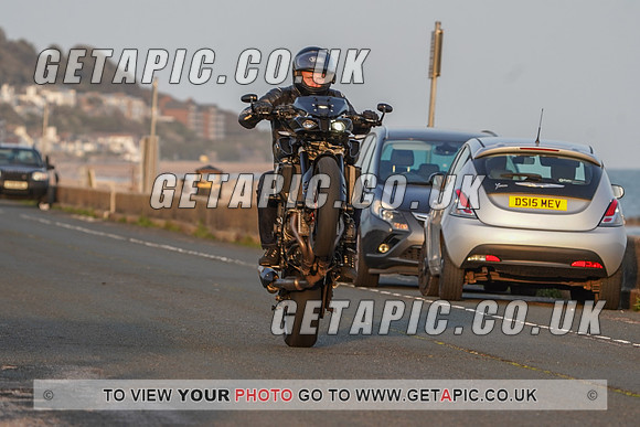 RS2009_11496