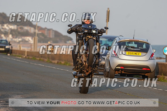 RS2009_11497