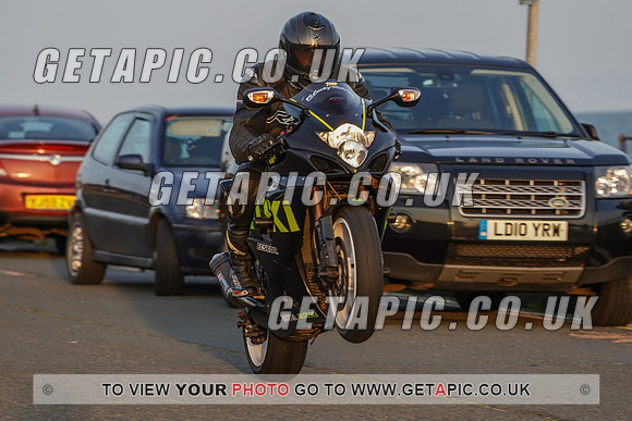 RS2009_11499