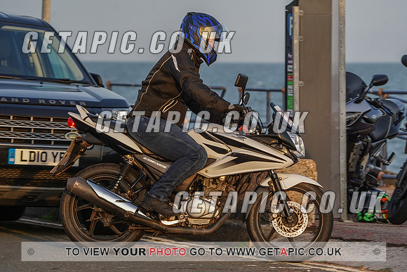 RS2009_11501