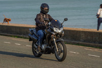 RS2009_11528