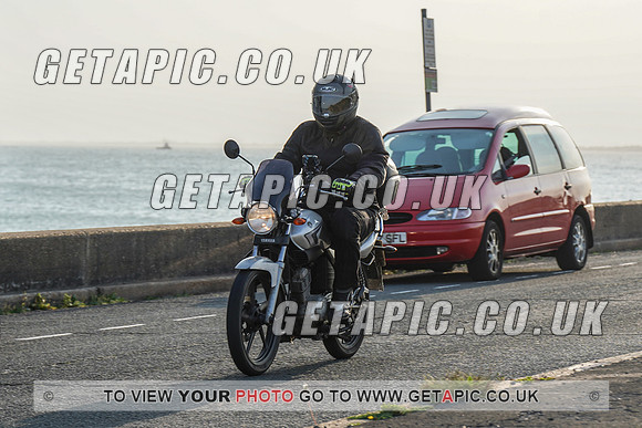 RS2009_11531