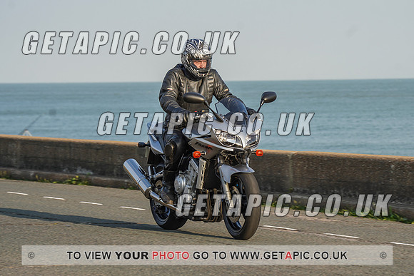 RS2009_11536