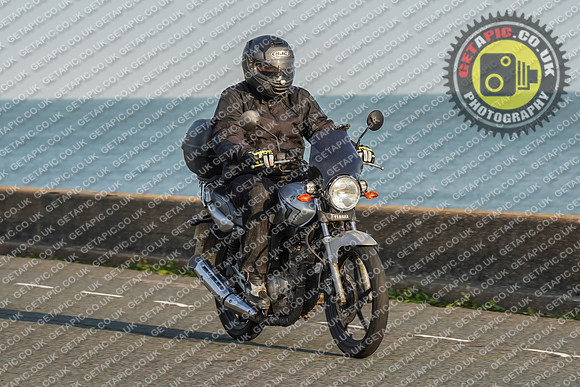RS2009_11538