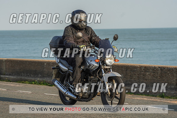 RS2009_11541