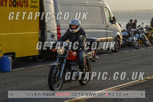 RS2009_11560