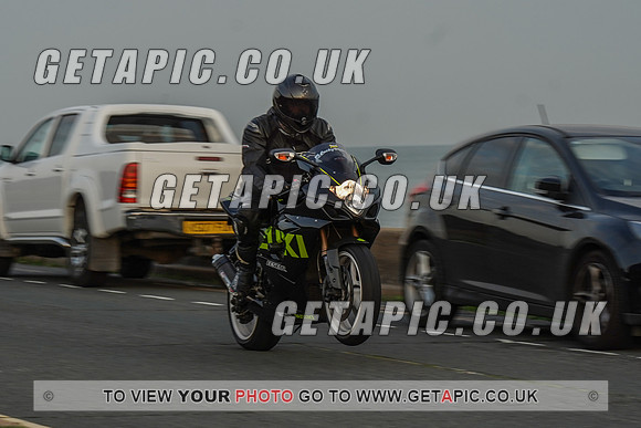 RS2009_11599