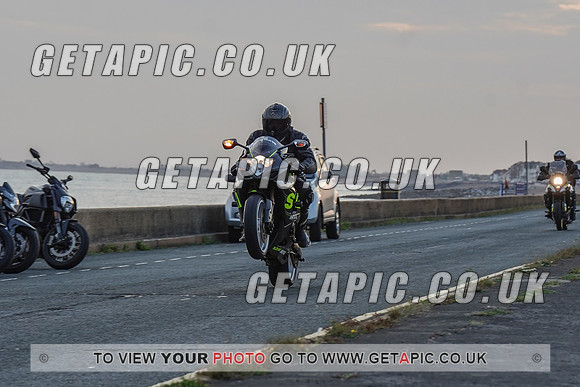 RS2009_11607