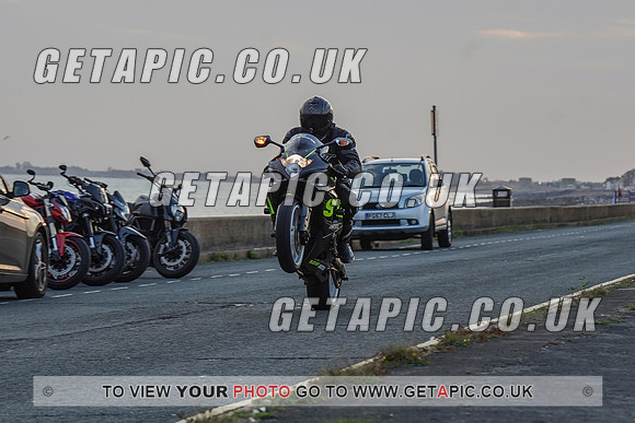 RS2009_11608