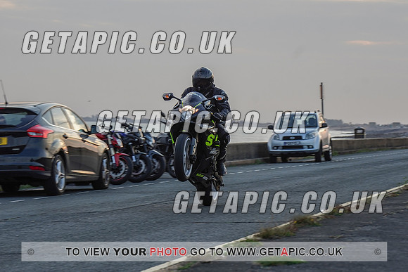RS2009_11609