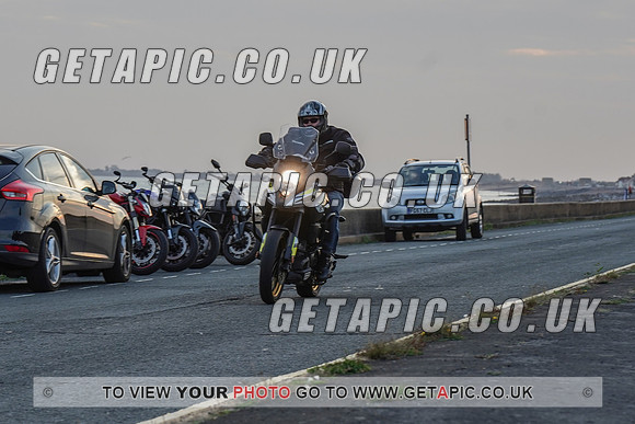 RS2009_11610