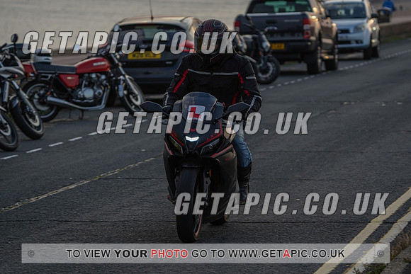 RS2009_11616