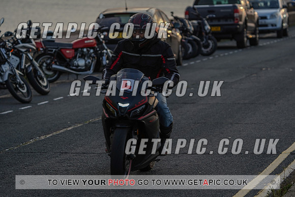 RS2009_11617