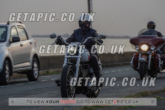 RS2009_11641