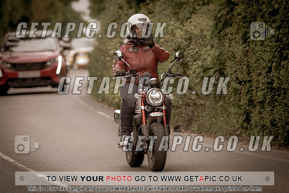 SS2505-3035-Vintage