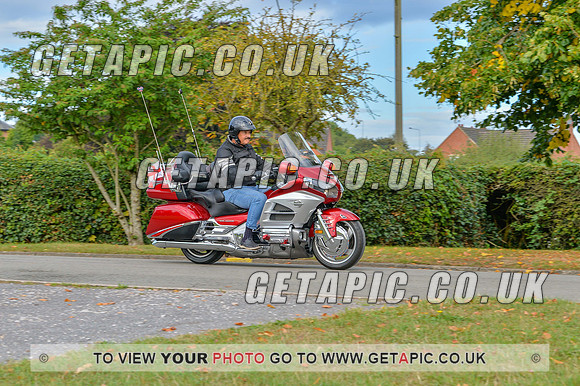 GP2208-10719