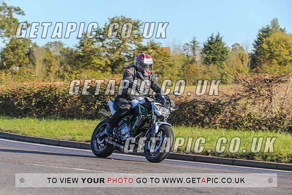 GP2010-40264