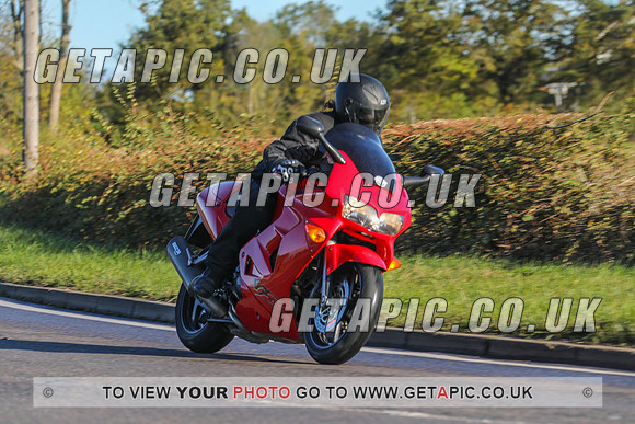 GP2010-40274