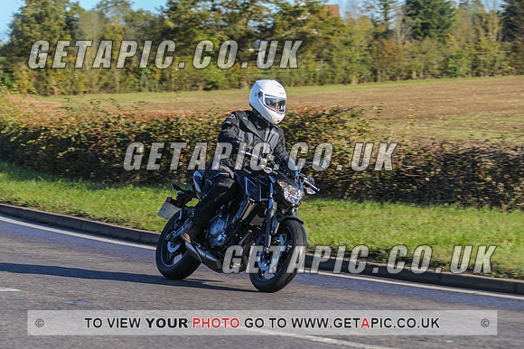 GP2010-40283