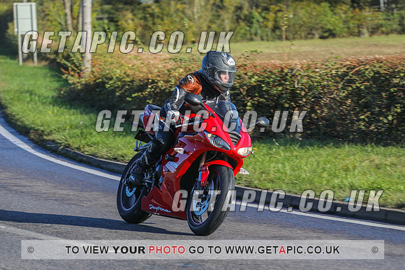 GP2010-40288