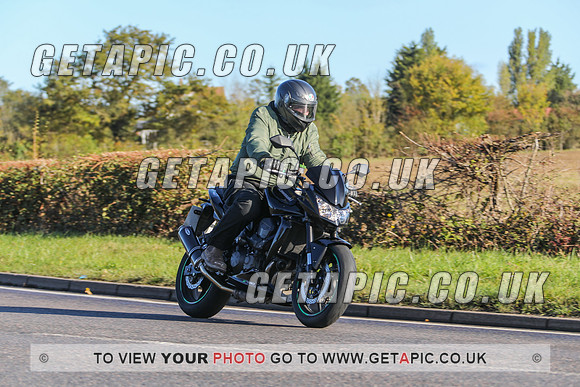 GP2010-40318