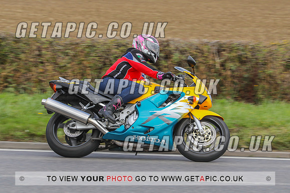 GP2010-44091