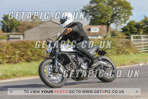 GP2010-44319