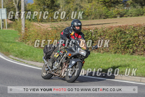 GP2010-44495