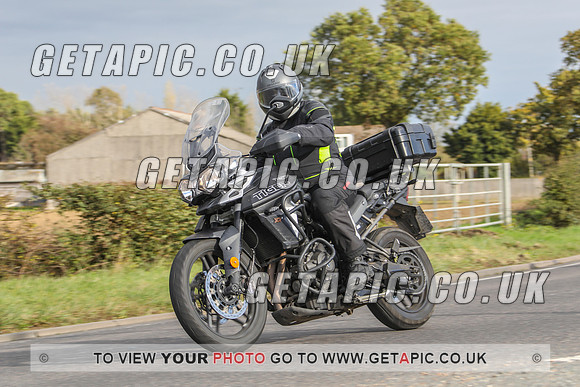 GP2010-44599