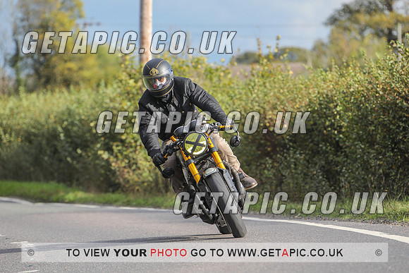 GP2010-44616