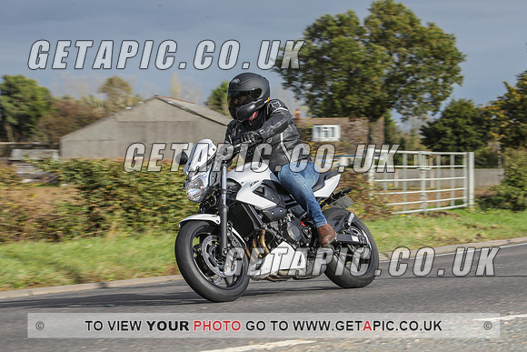 GP2010-44639