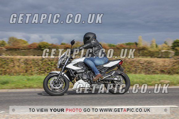 GP2010-44641