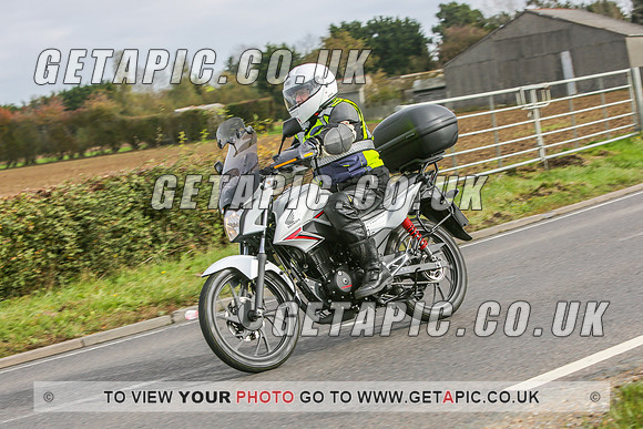 GS2010-12501