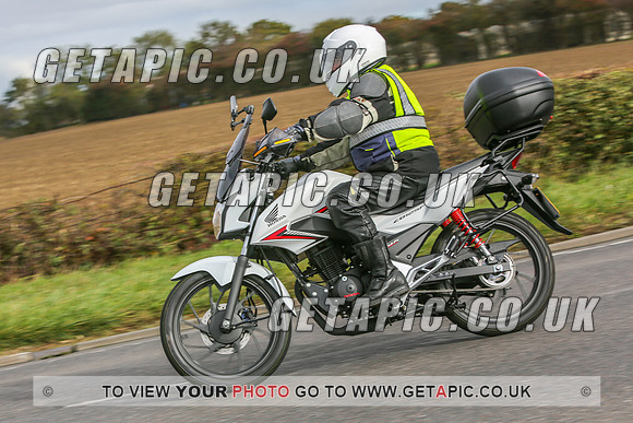 GS2010-12503