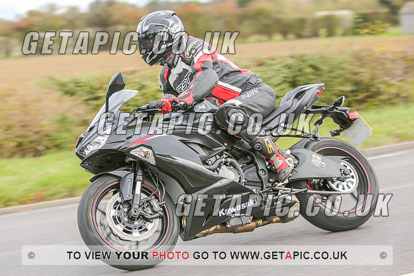 GS2010-12541